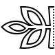 Elite Safety Standard